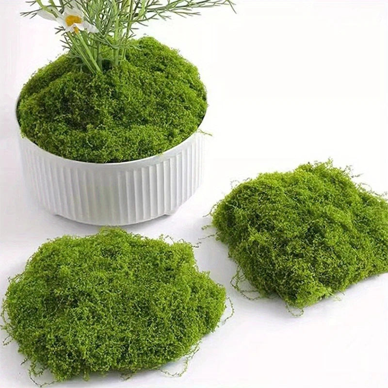 30/50/100g Green Artificial Moss Plant Fake Moss DIY Crafts Grass for