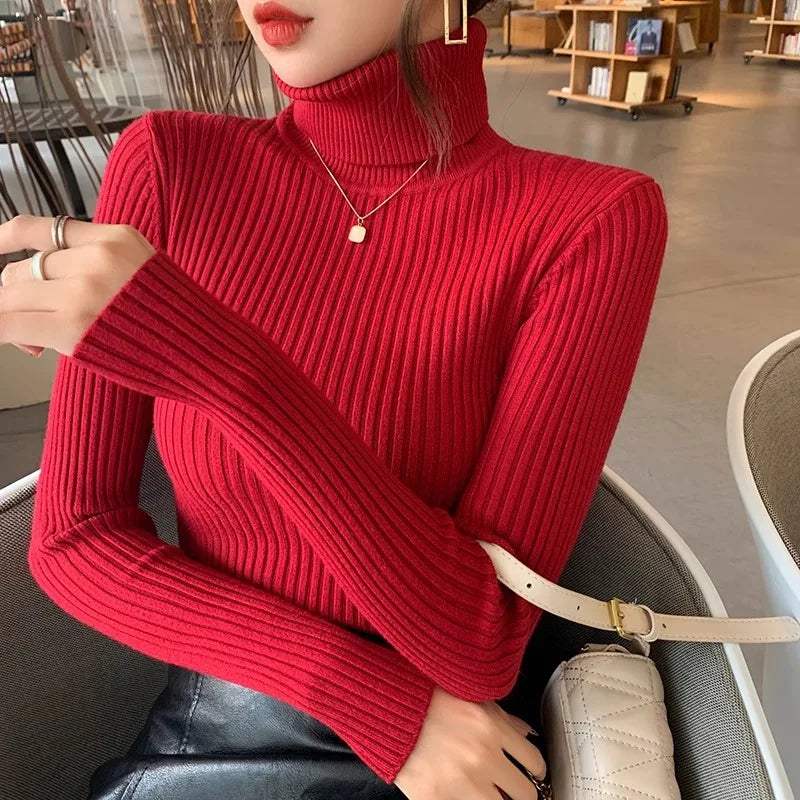 2025 Casual Slim Knitted Pullover Autumn Winter Thick Turtleneck