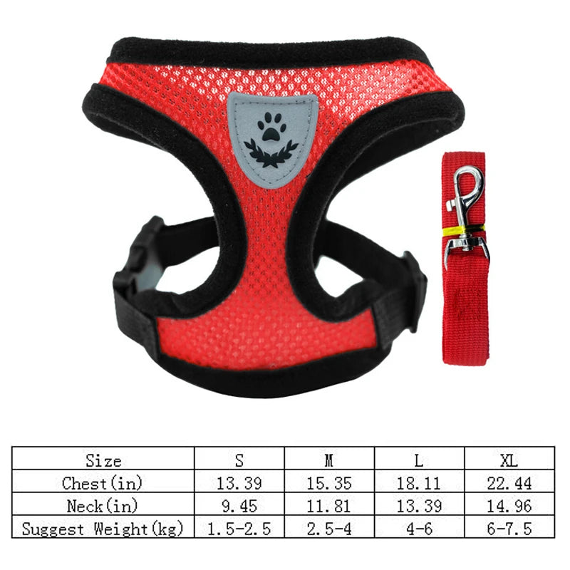 Hot new style dog walking and cat chest strap outdoor traction rope