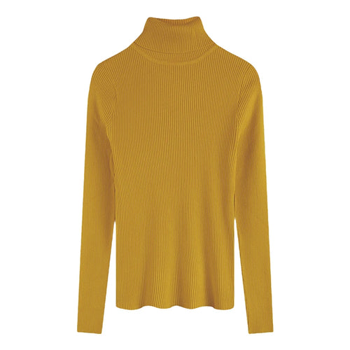 2025 Casual Slim Knitted Pullover Autumn Winter Thick Turtleneck