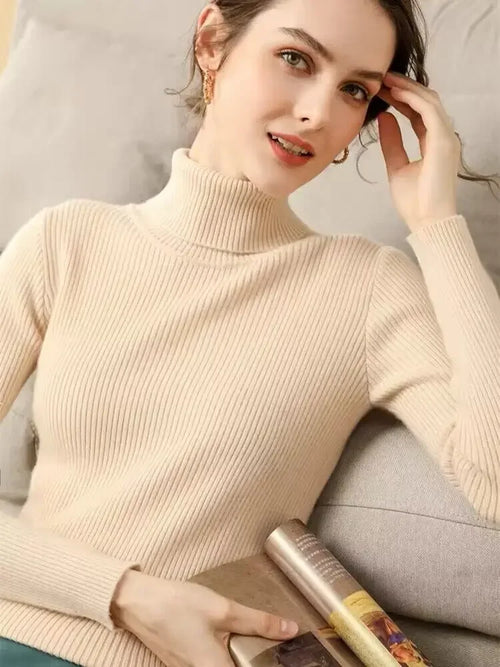 2025 Casual Slim Knitted Pullover Autumn Winter Thick Turtleneck