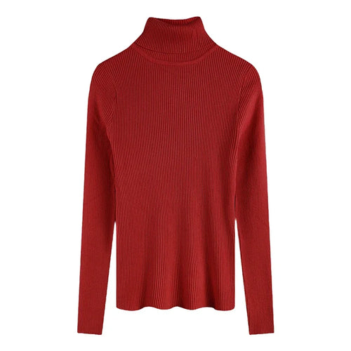 2025 Casual Slim Knitted Pullover Autumn Winter Thick Turtleneck