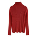 2025 Casual Slim Knitted Pullover Autumn Winter Thick Turtleneck