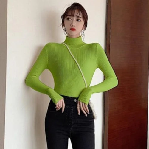 2025 Casual Slim Knitted Pullover Autumn Winter Thick Turtleneck