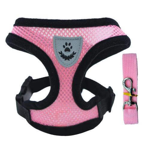 Hot new style dog walking and cat chest strap outdoor traction rope