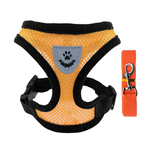 Hot new style dog walking and cat chest strap outdoor traction rope