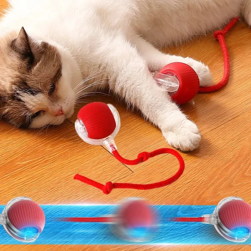Cat toy ball self hi ball teasing cat rolling ball hair pet relieve