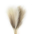 6PCS Artificial Pampas Grass Decor Flowers Fake Plant Reed for DIY