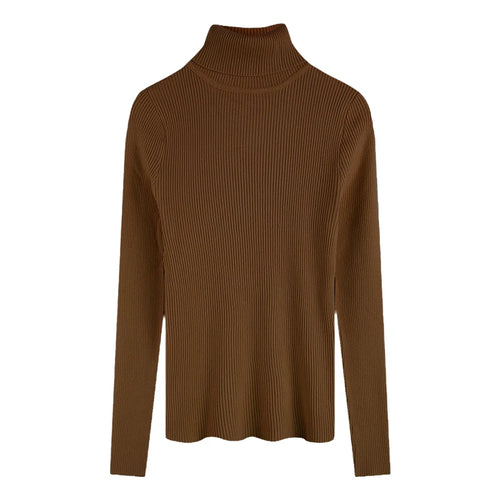 2025 Casual Slim Knitted Pullover Autumn Winter Thick Turtleneck