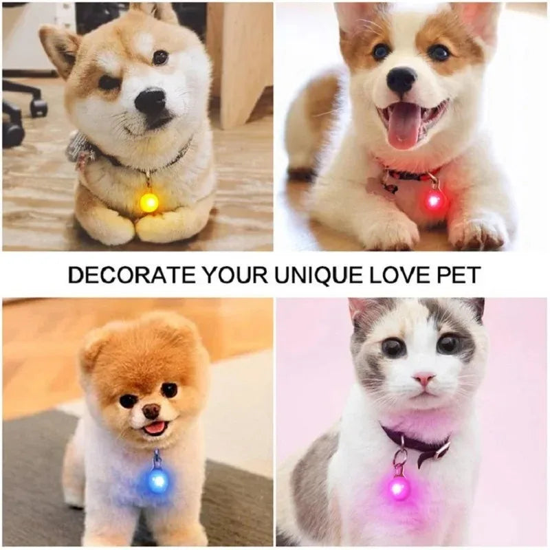 LED Dog Collar Pendant Dog Cat Collar Pet Leads Glow Accessories