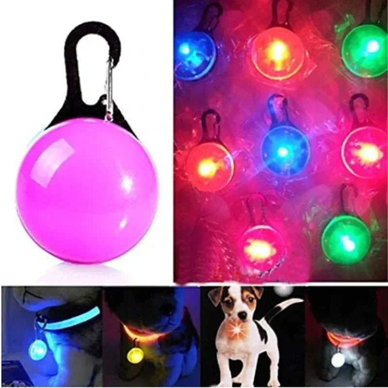 LED Dog Collar Pendant Dog Cat Collar Pet Leads Glow Accessories